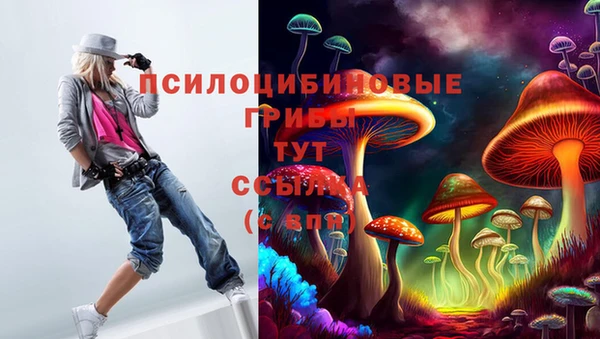 mdpv Зеленодольск