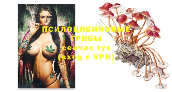 mdpv Зеленодольск