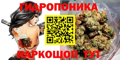гашик Коммунар