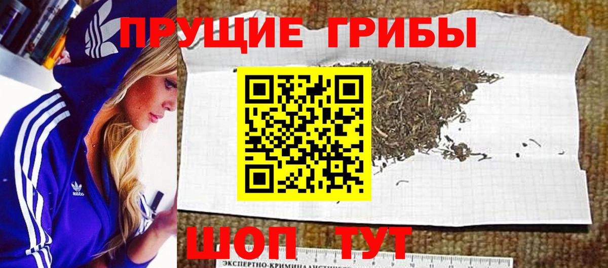 Псилоцибиновые грибы прущие грибы Набережные Челны